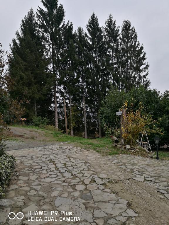 Agriturismo Davide Bossolasco Dış mekan fotoğraf